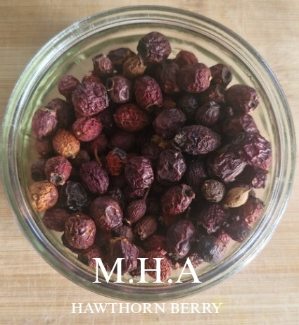Hawthorne Berries