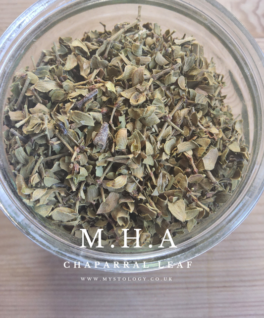 Chasteberry | Vitex | Agnus Castus