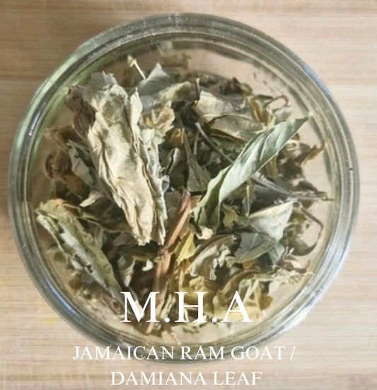 Damiana (Jamaican Ram Goat)