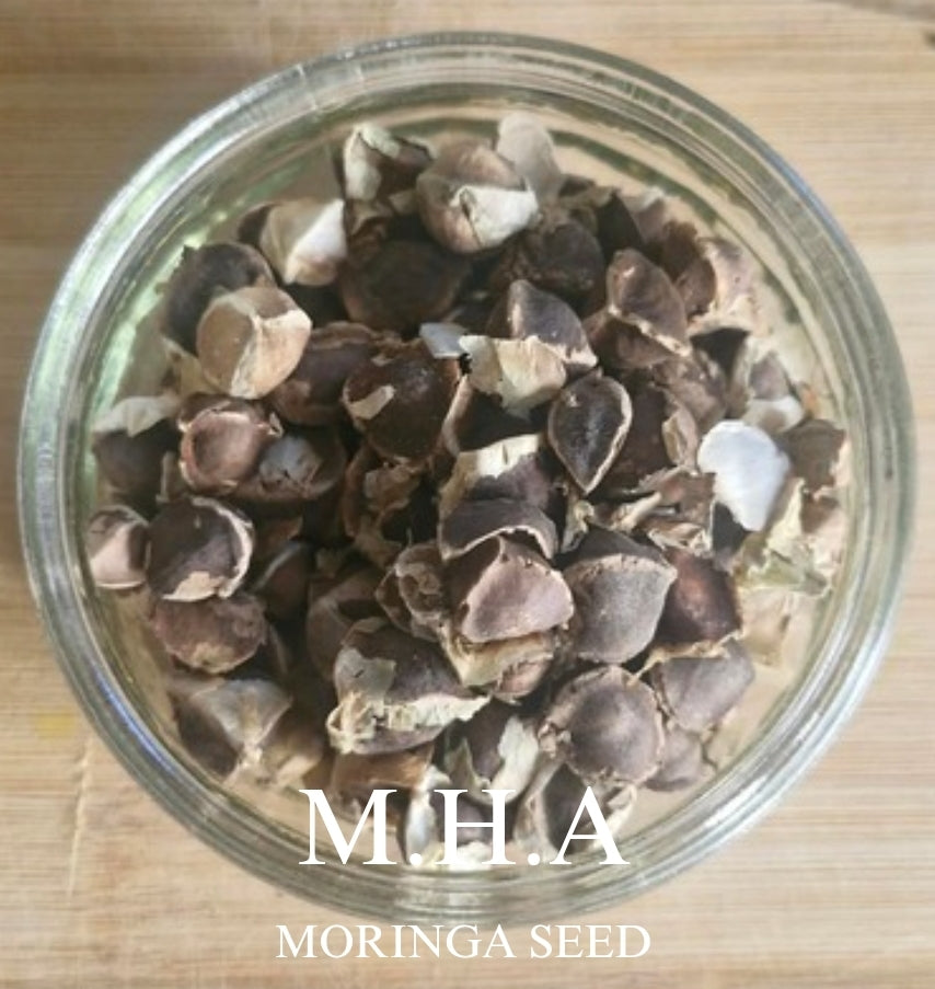Moringa Seeds