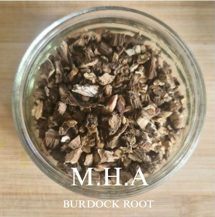 Burdock Root