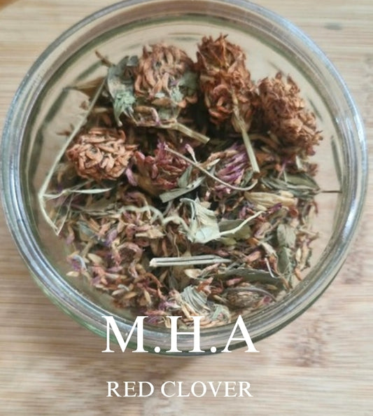 Red Clover